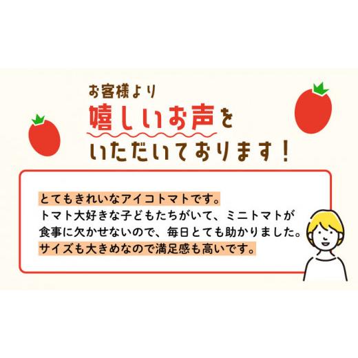 ふるさと納税 長崎県 佐々町 ミニトマト アイコ 1.0kg [QBG001]