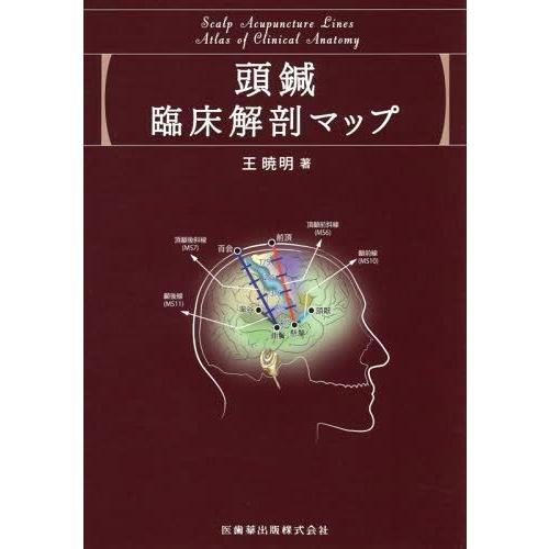 頭鍼臨床解剖マップ