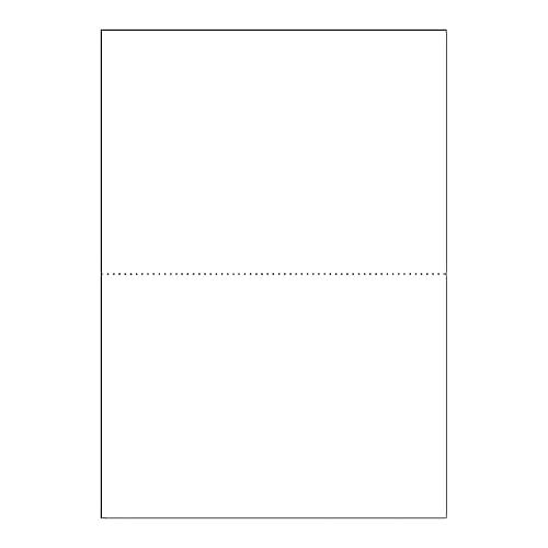 ヒサゴ マルチプリンタ帳票 A4白紙2面 (100枚) BP2002