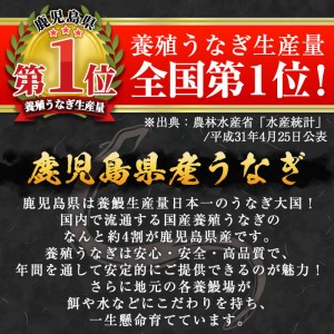 D-037 鹿児島産うなぎ蒲焼セット