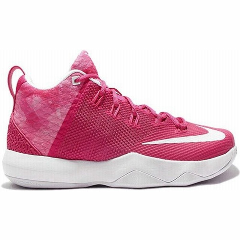 lebron ambassador ix