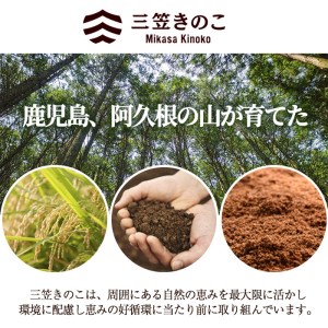 数量限定！原木生しいたけ(6袋・計1.2kg)国産 椎茸 シイタケ きのこ 個包装 2-288