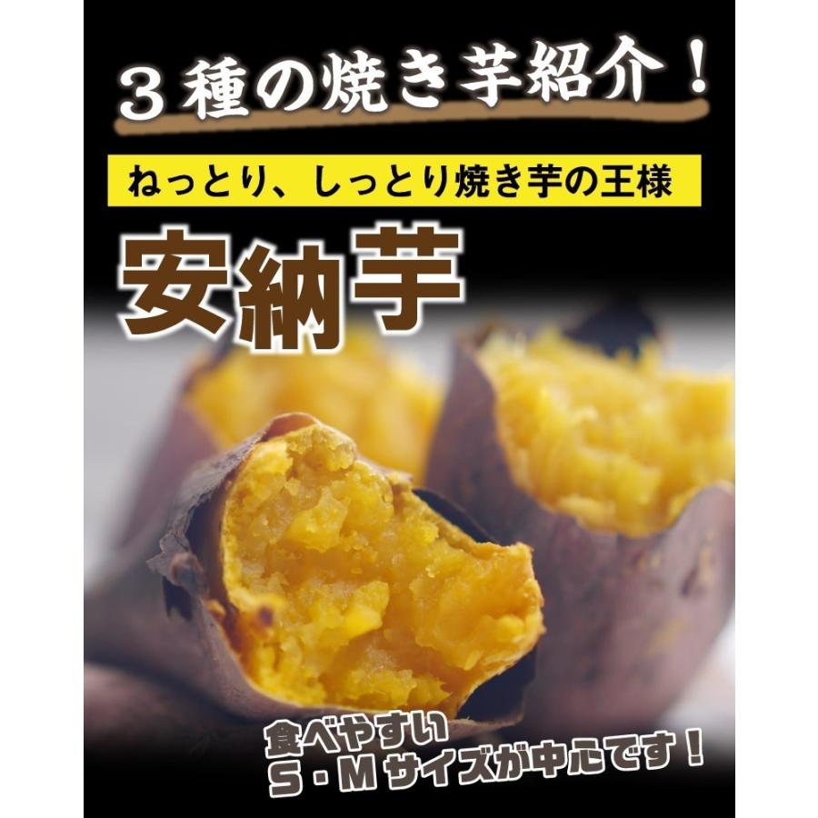 焼き芋食べ比べ 1.5kg（500g×3袋）選べる 冷やし焼き芋 安納芋 シルクスイート 紅はるか 鹿児島県産 送料無料 クール