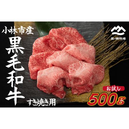 ふるさと納税  国産 牛肉 宮崎牛 おためしすき焼き用　500ｇ×１Ｐ（お肉 モモ ウデ すき焼き 焼肉 赤身 スライス） 宮崎県小林市