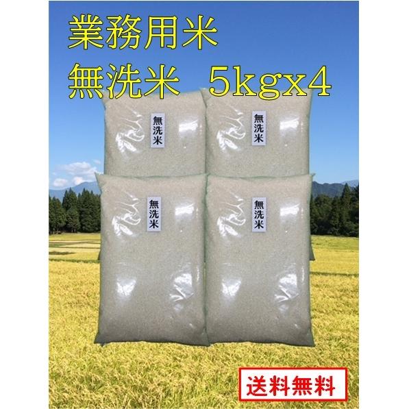 業務用お米　乾式無洗米20kg（5kg×4袋）　 生活応援米業務用　 新潟産　未検査米　送料無料