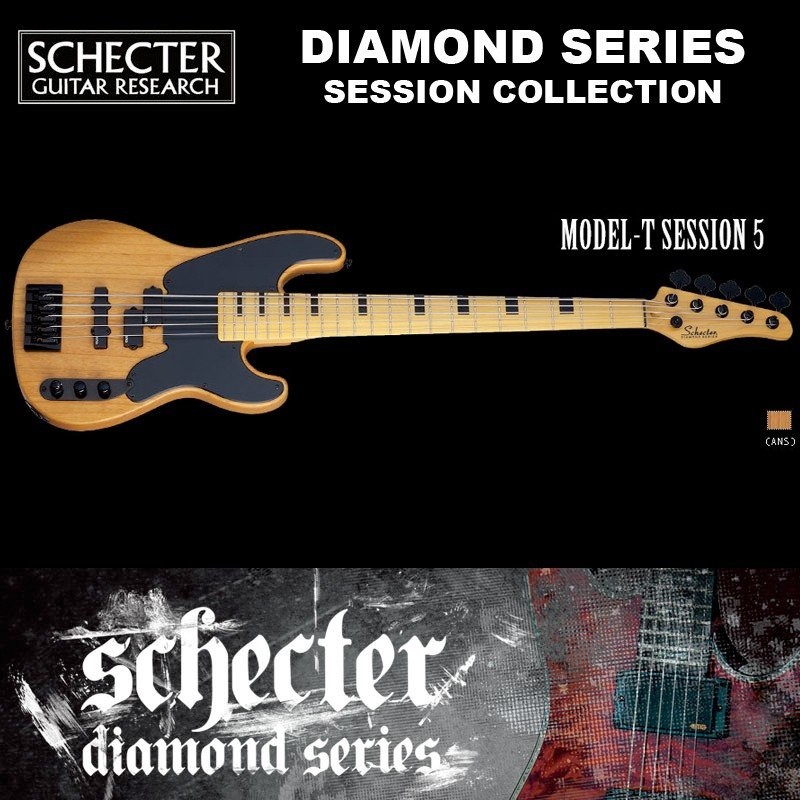 ベース bass SCHECTER ( シェクター ) AD-MODEL-Tホビー・楽器・アート 