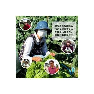 ふるさと納税 定期便 野菜 12回 13〜14品 セット 1年間 旬 詰め合わせ お楽しみ お届け 新鮮 産地直送 高知 須崎 トマト 人参 タマネギ ブロッコ.. 高知県須崎市