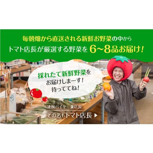 ふるさと納税 岐阜県 飛騨市 産直市から直送！ 飛騨産 旬の新鮮 野菜セット (6-8品)   〜2024年7月から11月にお届け〜