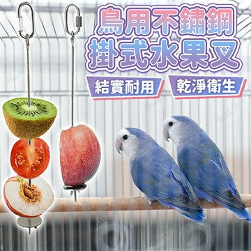鳥用不鏽鋼掛式水果叉 不鏽鋼水果叉子 鳥用水果叉 鸚鵡用水果叉 懸掛水果叉 鸚鵡用品 掛籠水果串【260710】