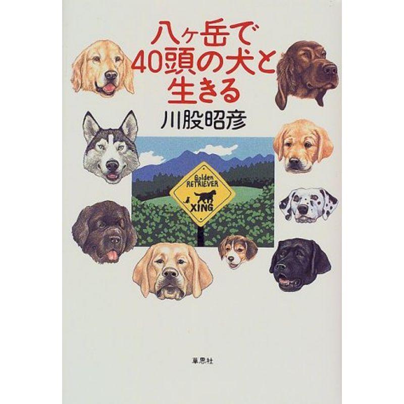 八ケ岳で40頭の犬と生きる