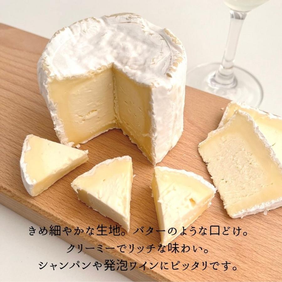 シャウルス 250g ナチュラルチーズ 白カビ チーズ シャンパーニュ シャンパン 発泡 ワインに合う