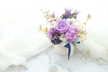 紫色星河 | 永生花