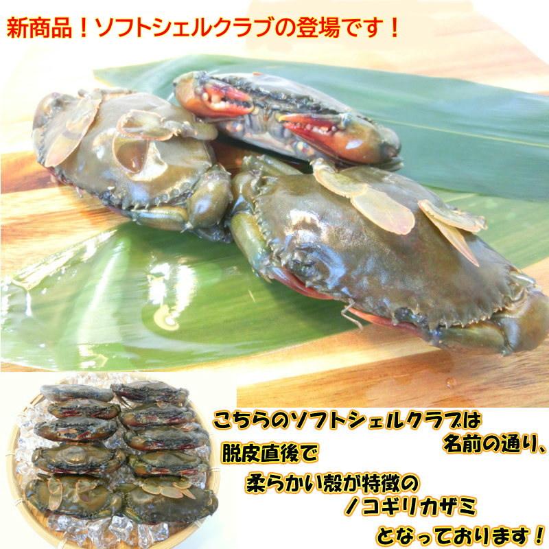 ソフトシェルクラブ　カニ　蟹・ソフトシェルクラブ・