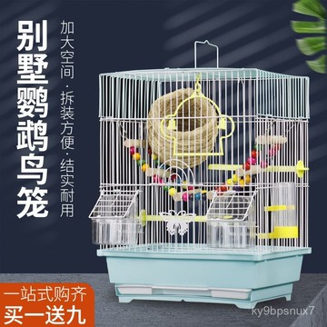💕在臺出貨🔥新品虎皮鸚鵡鳥籠子牡丹珍珠文鳥小型別墅金屬屋頂觀賞籠繁殖鳥籠