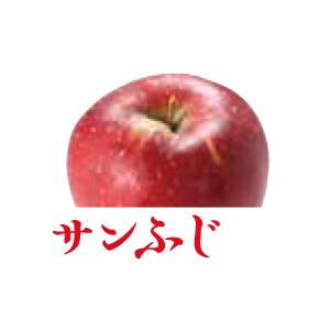 南信州りんご・梨　送料無料