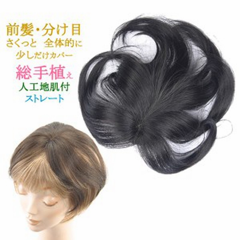 ウィッグ ヘアピース ミセス 部分ウィッグ かつら 送料無料 分け目 前髪 カバー 総手植え Tk30 通販 Lineポイント最大1 0 Get Lineショッピング