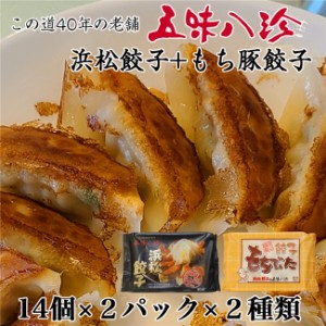 五味八珍 浜松餃子・もち豚餃子 ギフトセット 14個×2P×2種 56個 [産地直送 クール便冷凍] [冷凍餃子 産直]  ※クール便冷凍