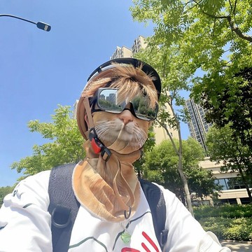 新款【upton】騎行防曬面罩橘貓夏季搞怪面紗動物面巾貓咪掛耳一體防護口罩護頸