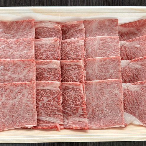 牛肉 飛騨牛 焼き肉 セット ロース 又は 肩ロース 500g 黒毛和牛 Ａ5 美味しい お肉 牛 肉 和牛 焼肉 BBQ バーベキュー 