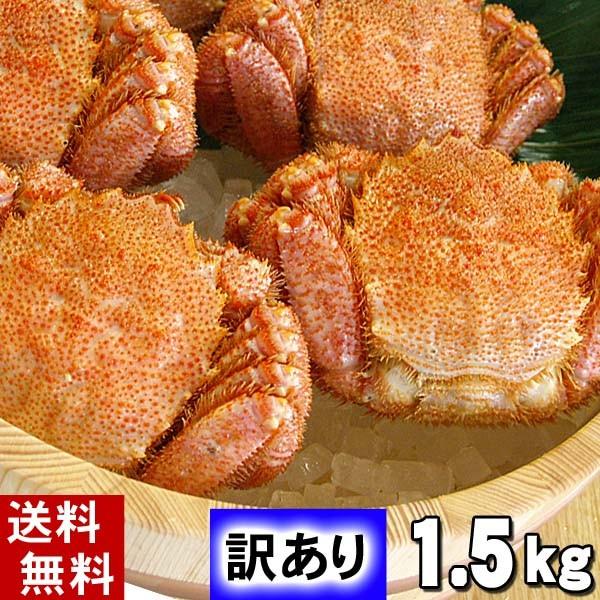 (送料無料) 北海道産 毛ガニ　訳あり 2〜5尾 計1.5キロ 蟹姿　北海道産ボイル毛がに。足折れあり・サイズ規格外の毛ガニ