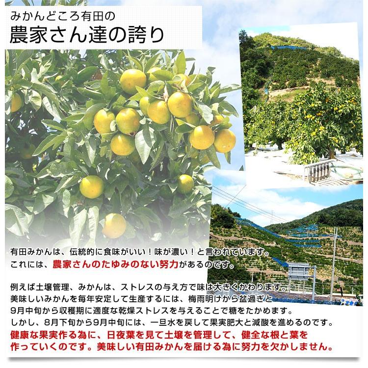 和歌山県より産地直送 JAありだ 有田みかん 糖度12度以上 特秀品「AQ一番」 LからMサイズ 5キロ(40玉から50玉) 送料無料 蜜柑 ミカン お歳暮 御歳暮