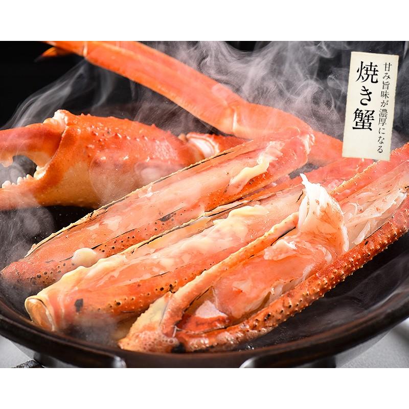 かに カニ 蟹 ズワイガニ 姿 3kg 600g前後×5尾 ずわいがに ズワイ蟹 ずわい蟹 同梱不可 冬グルメ 冬ギフト