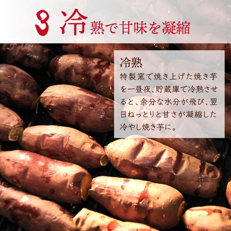 焼き芋  甘太くん（紅はるか）ねっとり甘い 冷蔵 冷やし焼き芋 ひえひえ君  1kg 送料無料