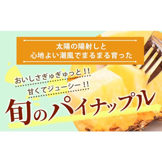 ふるさと納税 沖縄県 石垣市  石垣島産パイナップル　2〜6個　約3kg【ふるさと納税 パイナップル 産地直送 フルーツ 果物 沖縄県石垣市 石垣 沖縄 石垣市 石垣…