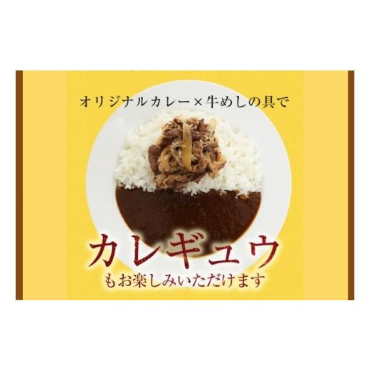 ふるさと納税 埼玉県 嵐山町 松屋 カレー 牛めし 30個 セット 冷凍 牛丼 カレー　