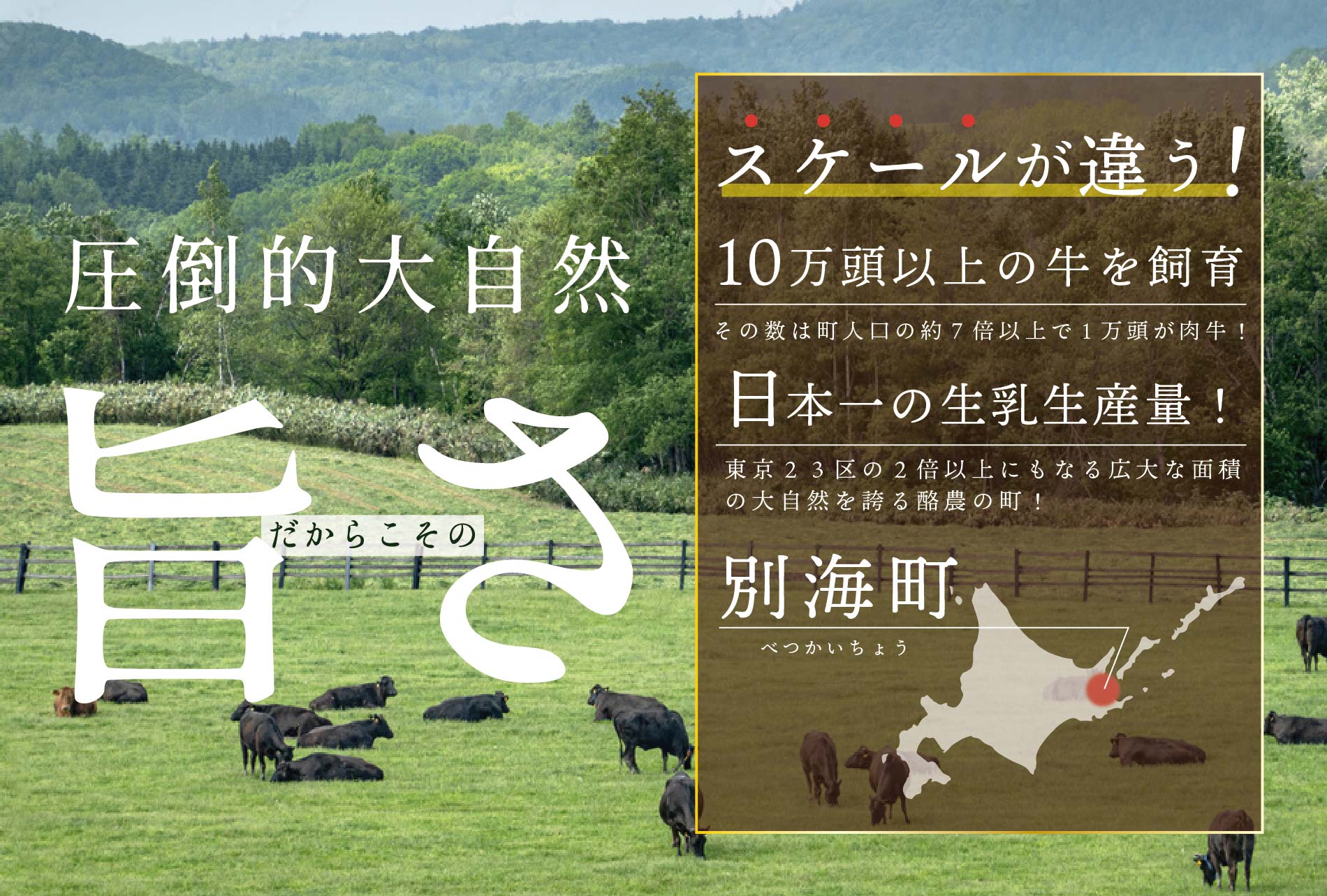 しゃぶしゃぶ 用（肩ロース）500g 北海道 別海町産 黒毛和牛「 名人和牛」 A5クラス 250g×2P