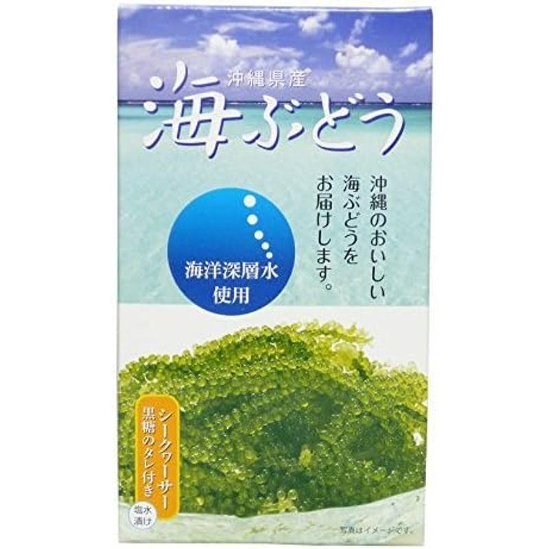海洋深層水使用 沖縄県産 海ぶどう(60g)×１箱 サングリーンフレッシュ
