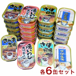 お魚惣菜缶 4種24缶セット さば照焼 焼いわし さんま蒲焼 さば塩焼 賞味期限3年 防災 災害対策 備蓄 非常食(代引不可)