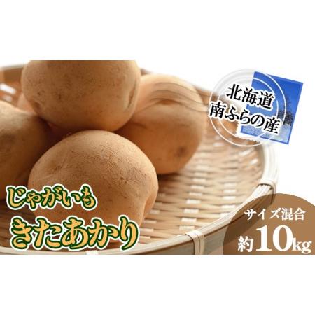 ふるさと納税 南ふらの産 じゃがいも きたあかり 約10kg 北海道 南富良野町 2024年発送 先行予約 北海道南富良野町