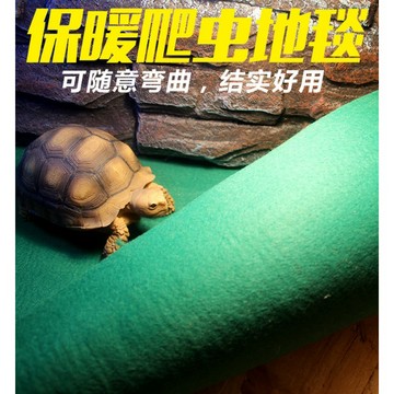 【台灣現貨】爬蟲地毯 植絨地毯 爬蟲保溫地毯 爬蟲保濕地毯 爬蟲飼養箱底材 爬蟲飼養 爬蟲底材 角蛙 變色龍 雨林爬蟲