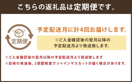 時津の果物定期便 みかんとぶどうの町から贈る 特産品の定期便 シャインマスカット 巨峰 みかん 不知火