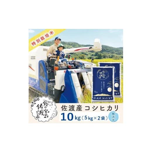 ふるさと納税 新潟県 佐渡市 特別栽培米 佐渡島産コシヒカリ 無洗米10Kg(5kg×2袋)