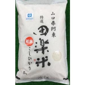 ふるさと納税 A-008 「田楽米」コシヒカリ100kg≪エコやまぐち50認証取得≫  山口県山口市