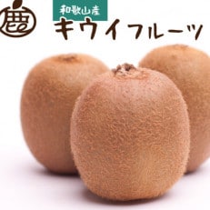 ＜先行受付＞厳選キウイフルーツ1.5kg 45g(傷み補償分)