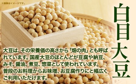 令和5年度産 北海道十勝 本別町産 白目大豆8kg(4kg×2袋) 《60日以内に順次出荷(土日祝除く)》本別町農業協同組合 送料無料 北海道 本別町