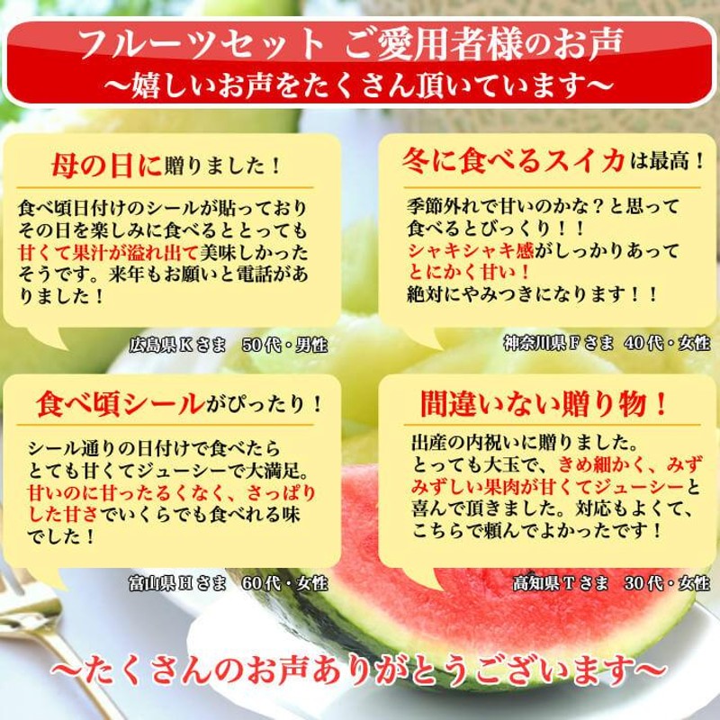 高知県産 マスクメロン スイカセット 大玉 誕生日 高級 ギフト