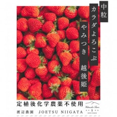 中粒　カラダよろこぶ　やみつき越後姫　　200g×2パック(18～22粒入り)