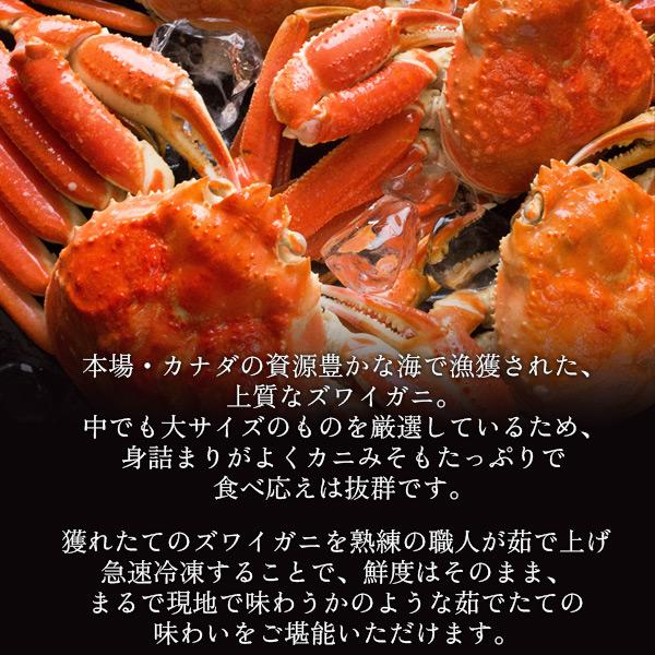 お歳暮 ギフト ボイルズワイガニ姿1.2kg（600g前後×2枚セット） かに カニ 蟹 送料無料（北海道・沖縄を除く）