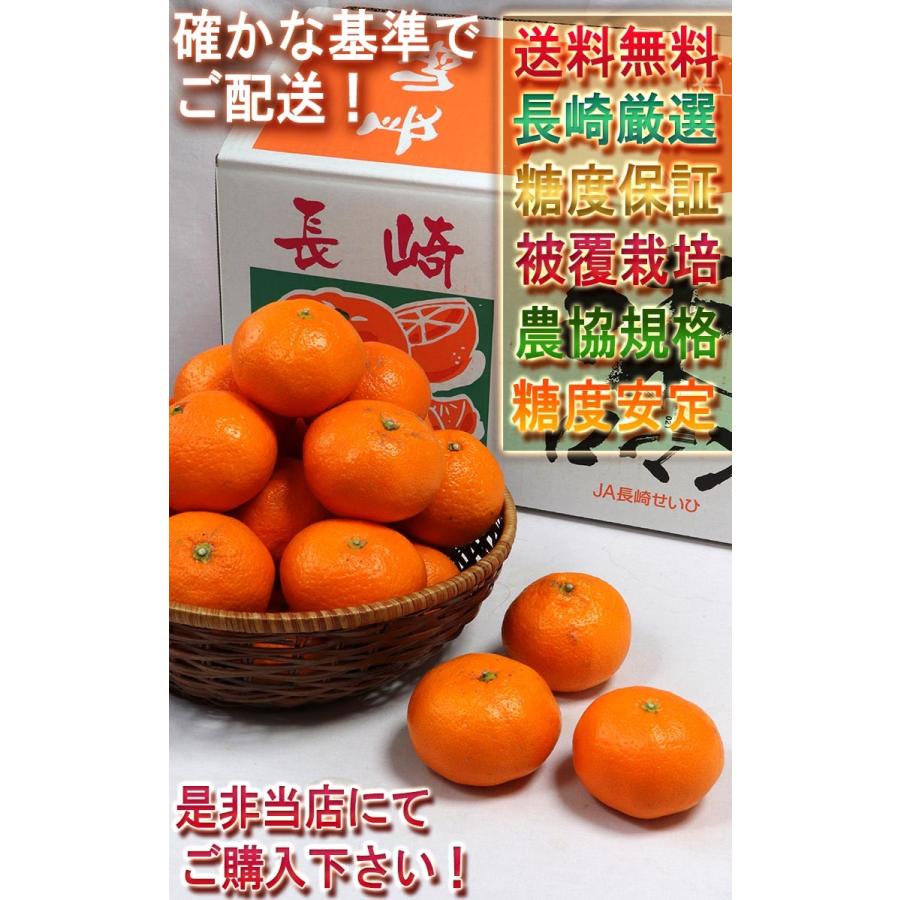 味ロマン 温州みかん 約5kg S〜Lサイズ 長崎県産 糖度12度保証 JA長崎せいひ 農園指定・被覆栽培で抜群の味わい！糖度センサー選果のブランド蜜柑