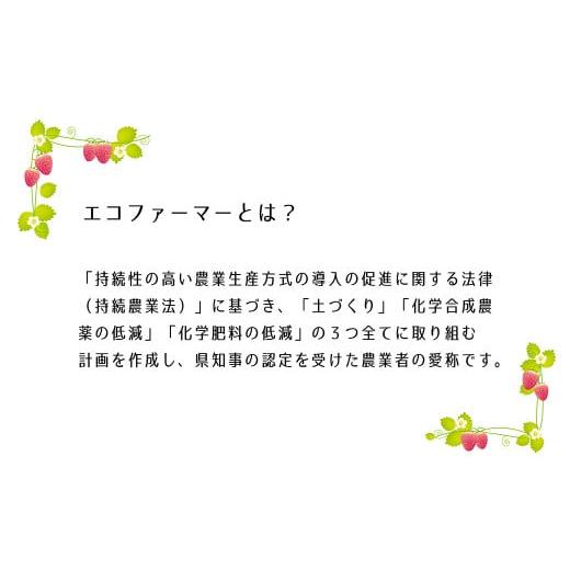 ふるさと納税 福岡県 香春町 エコファーマー あまおう 約280g×2パック 計560g