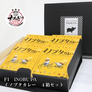 ふるさと納税 EE6007n_F1 イノブタ カレー 4個入り 800g 和歌山県湯浅町