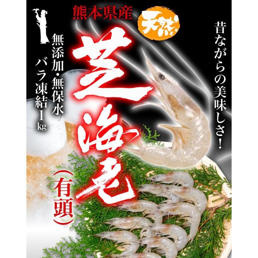 海老 冷凍 熊本県産 天然芝海老 1パック1kg(約110〜140尾前後) 有頭 バラ凍結 無添加 無保水 国産 バーベキュー クール