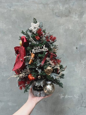 永生雪松聖誕樹/高45公分/日本雪松