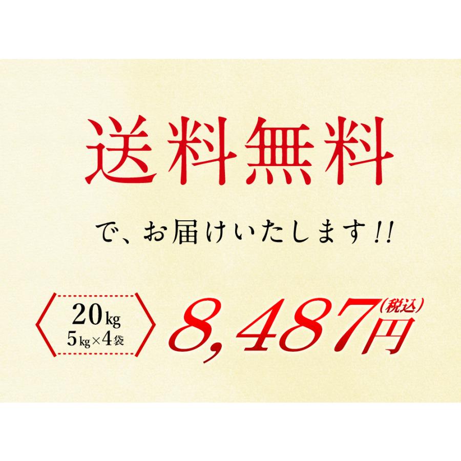 新米 丹波産（兵庫県）コシヒカリ20kg（5kg×4袋）  送料無料 令和5年産 精米 お米 米 丹波産  兵庫県産 （北海道・沖縄別途送料）（配達日・時間指定は不可）