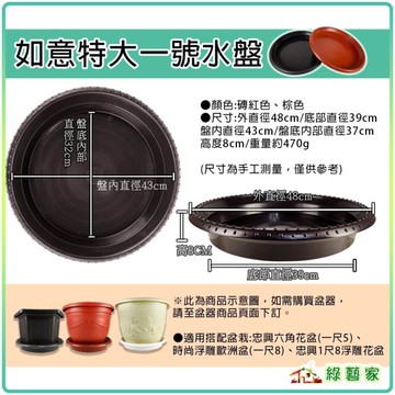 【綠藝家】如意大特大一號水盤 磚紅色、棕色-花瓶底盤 園藝底盤 園藝水盤 底盤 水盤 花盆底盤