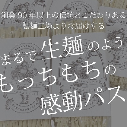 関ケ原町産ふわりもち使用 関ケ原パスタ（平打ち麺）計1500g（300g×5袋 約15人前）